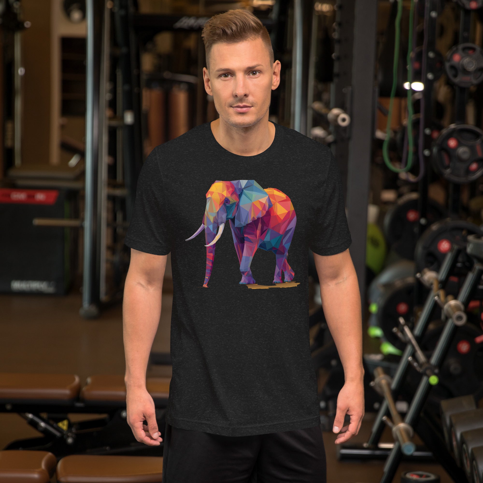 THE ELEPHANT 肩出し ブラウス メンズ Unisex Prism Elephant Tee Shirt – Flanaw